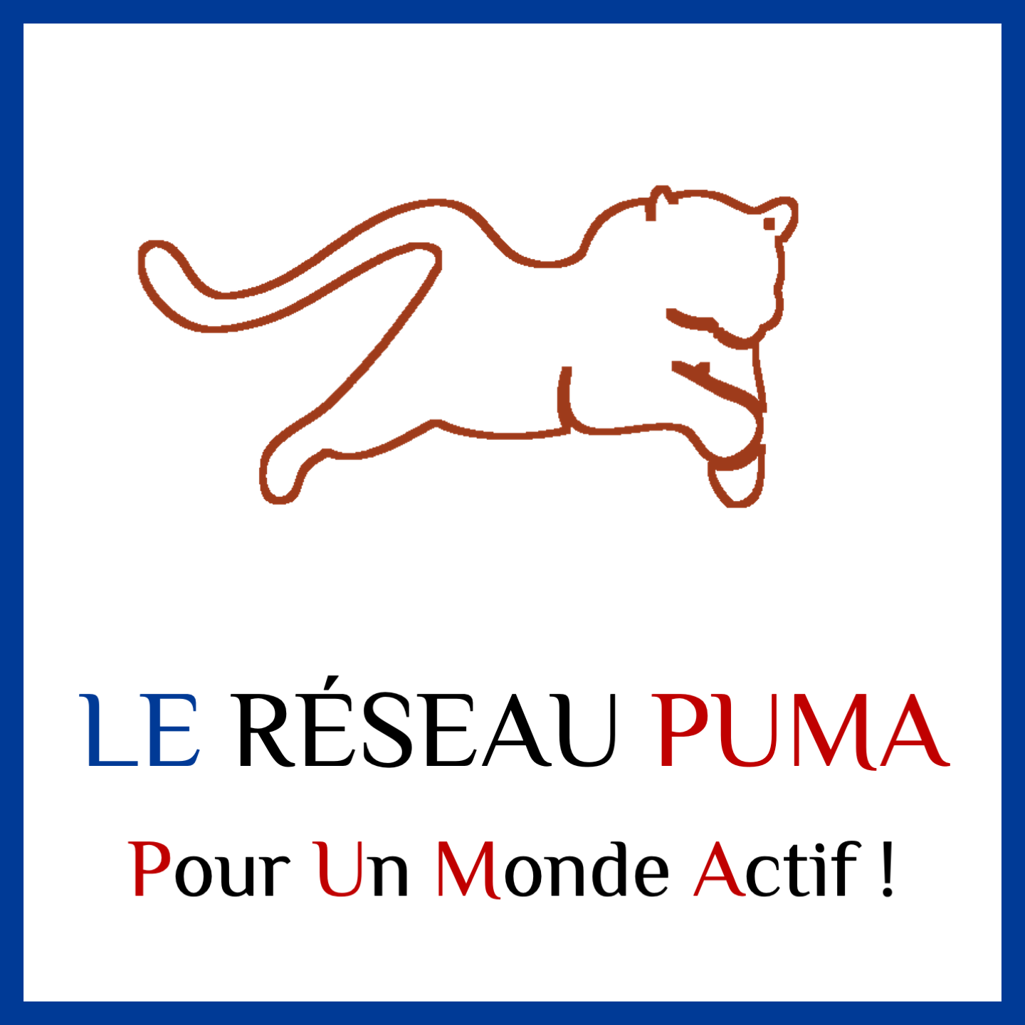 logo LE RESEAU PUMA